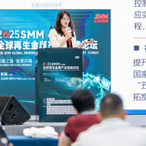 大咖分享：新形式下的汽车再循环产业链模式与趋势【再生金属产业论坛】 ...