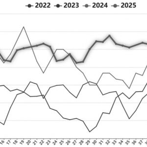 烧碱供需矛盾加剧
