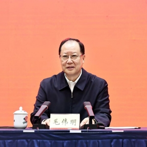 第十五届全运会湖南代表团成立 毛伟明向代表团授旗