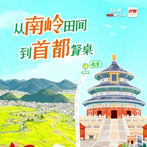 海报丨永州“硒”珍北上 健康美味入京