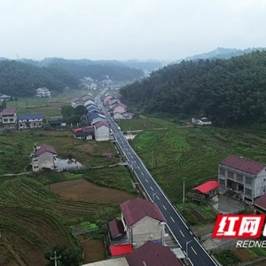 桃江县武潭镇：路畅民欢颜 擂茶暖心田