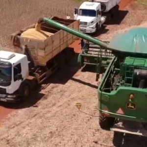 “中国一粒不买”！美国豆农破防 或失1600万吨订单 特朗普威胁“报复中国” 中方回应 ...