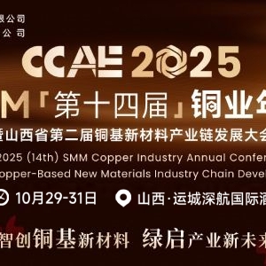 Codelco特尼恩特铜矿损失超预期