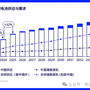 储能的2025年：更加惨烈的洗牌和历史转折点即将到来！