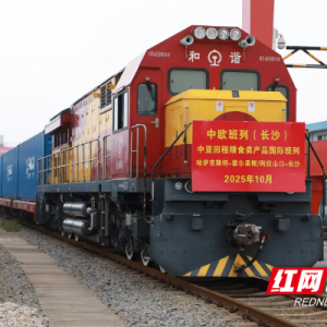 湖南中亚粮食回程班列实现常态化开行
