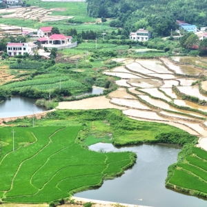 海报 | 蝶变向春行，沃野映新颜