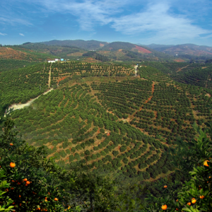 哲学里的郴州 | 全省先进！永兴县的创业沃土何以炼成？