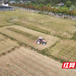 通道：秸秆还田 促进农业增效