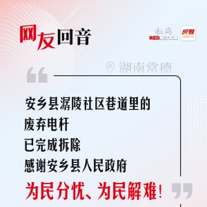 网友回音丨废弃电杆已拆除，感谢安乡县人民政府