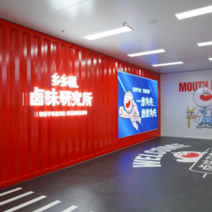 百名书记话振兴武冈篇 | 党建“链动”千年卤味飘香