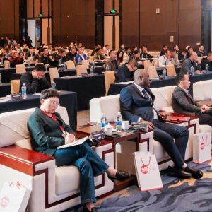 AICE 2025 SMM （第十四届）铝产业年会圆满落幕！行业精彩发言一文速览 ...