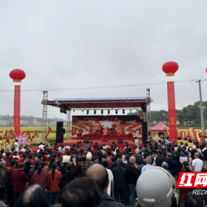 稻田里的丰收盛宴！双峰荷叶镇清泉村田野艺术嘉年华开幕