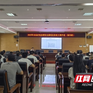 一县一亮点②丨邵阳县：深化片区协作联动 激活基层监督“神经末梢” ...