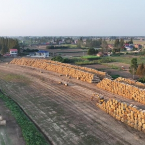 安乡县：秸秆“黄金卷”变废为宝