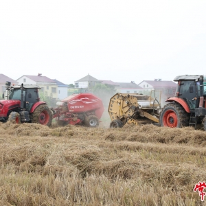 从“一烧了之”到“点草成金” 汉寿县“三七工作法”推动秸秆综合利用水平 ...