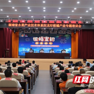 “九分甜”里藏“科技招”！永州柑橘产业借智省体系“甜上添甜” ...