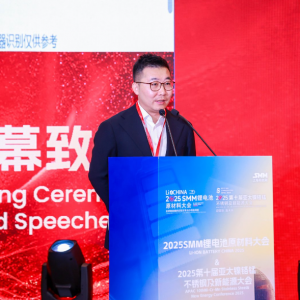 【直播中】碳酸锂、镍市场价格与展望 刚果（金）、印尼与中国镍钴供应链探讨 ...