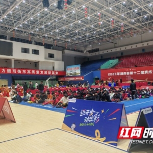 湖南省第十二届武术大赛落幕，祁东文武学校等代表队表现突出 ...