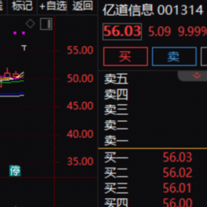 重大资产重组预案亮相，001314，复牌涨停