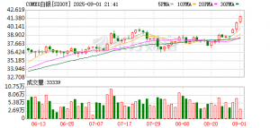 白银涨势显露疲态 分析师警告短期回调风险大增！