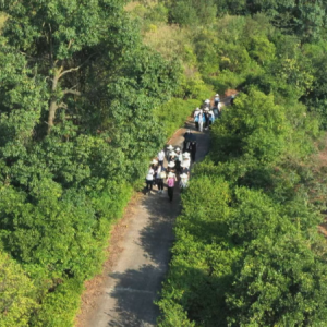 “神农故郡”药韵香  气象赋能谱新篇