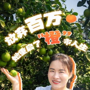 新农人·兴永兴 | 何金香：放弃百万，她重启了“橙”市人生