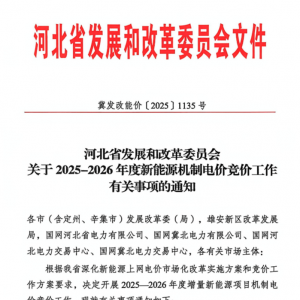 河北新能源机制电价竞价公布：电价下限0.2元/度