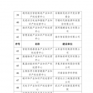 以知识产权赋能 为产业腾飞护航 湘潭这一产业知识产权运营中心跻身“国家队” ...