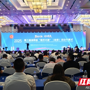 湖南侨务工作实现“四重进阶”：从“湘情”聚力到“全球”赋能 ...