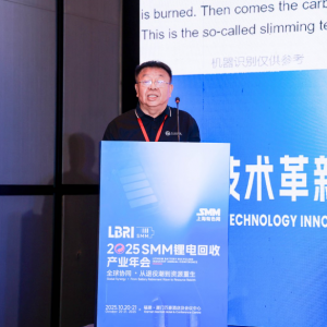 专家谈：废旧锂离子电池回收再利用技术研究【锂电回收产业年会】 ...