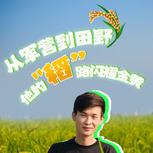 新农人·兴永兴 | 彭家兴：从军营到田野，他的“稻”路金黄