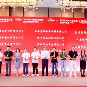 2025 SMM 纯镍优质采标单位企业名单正式揭晓！【亚太镍铬锰不锈钢大会】 ...