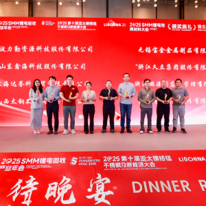 2025 镍生铁优质采标单位名单重磅出炉！【亚太镍铬锰不锈钢大会】 ...