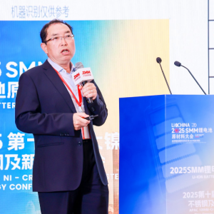 我国锂离子电池产业发展形势 企业如何在竞争中找到生存机会？【锂电原材料大会】 ...