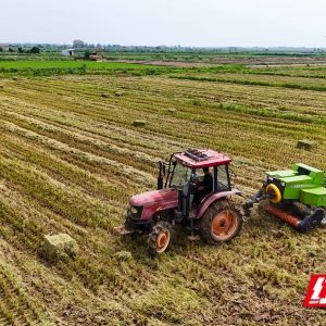 岳阳县“秸”变记：一场生态与经济双“丰收”的田间变革