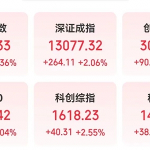 存储芯片+PCB+机器人+DeepSeek概念次新股，301563，爆了！