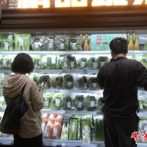 10月中旬，常德部分蔬菜价格上涨