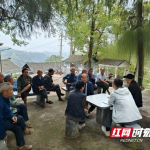吉首市丹青镇：“微项目”激活乡村“新气象”