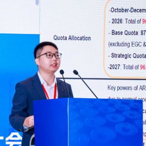 SMM：全球钴市场供需格局与未来展望 中国企业如何应对钴资源紧张问题？ ...