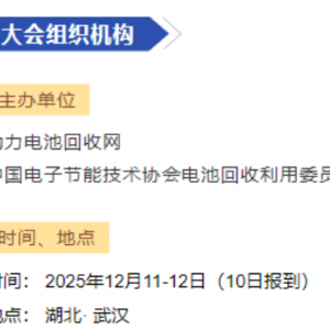 2025 中国动力电池回收利用行业回收年会暨新型、高效提锂技术发展论坛 ...