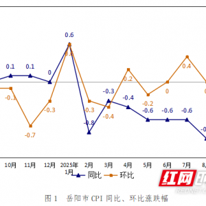 9月岳阳市居民消费价格同比下降0.9% 环比与上月持平