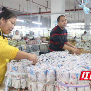 祁阳天青雨具：一把伞带来促就业、稳民生的“蝴蝶效应”