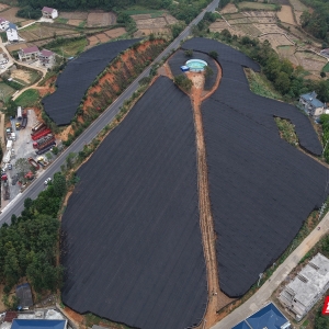 新晃黄精产业“新”声③丨龙声标：智慧水肥 守护每株黄精走向丰饶 ...