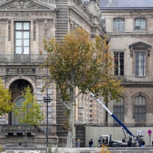 卢浮宫馆长承认安保缺陷 大劫案三天后博物馆重新开放