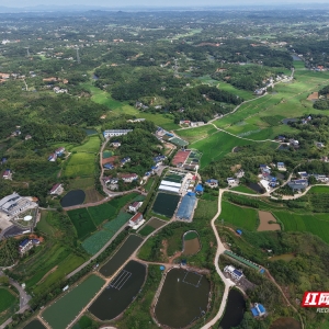 湘潭高素质农民培育激活乡村“一池春水”