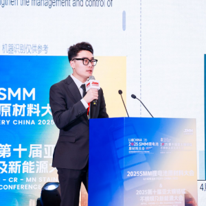 SMM：全球镍市场供需分析及展望 后续价格如何演绎？【锂电原材料大会】 ...