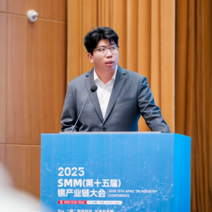 SMM：资源瓶颈 + 需求重构 中国锡产业链在 “低库存弱需求” 中谋变 ...