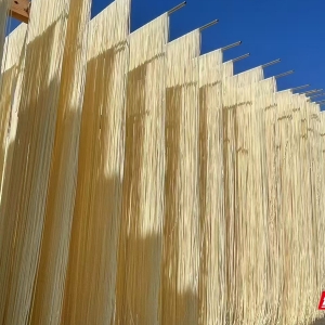 新晃黄精产业“新”声④丨杨觉震：波洲黄精晒面 百年传承成就一碗好面 ...