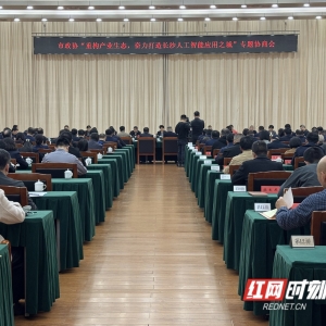 聚焦打造人工智能应用之城 长沙市政协亮出“高言值”