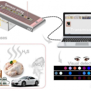 银纳米粒子传感器通过变色警示食物变质